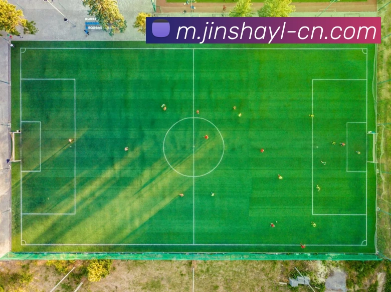 数据防护可视化